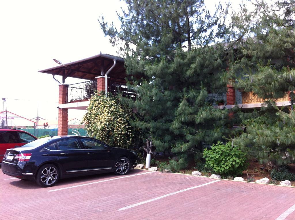 Tenisz Apartment Вечеш Экстерьер фото